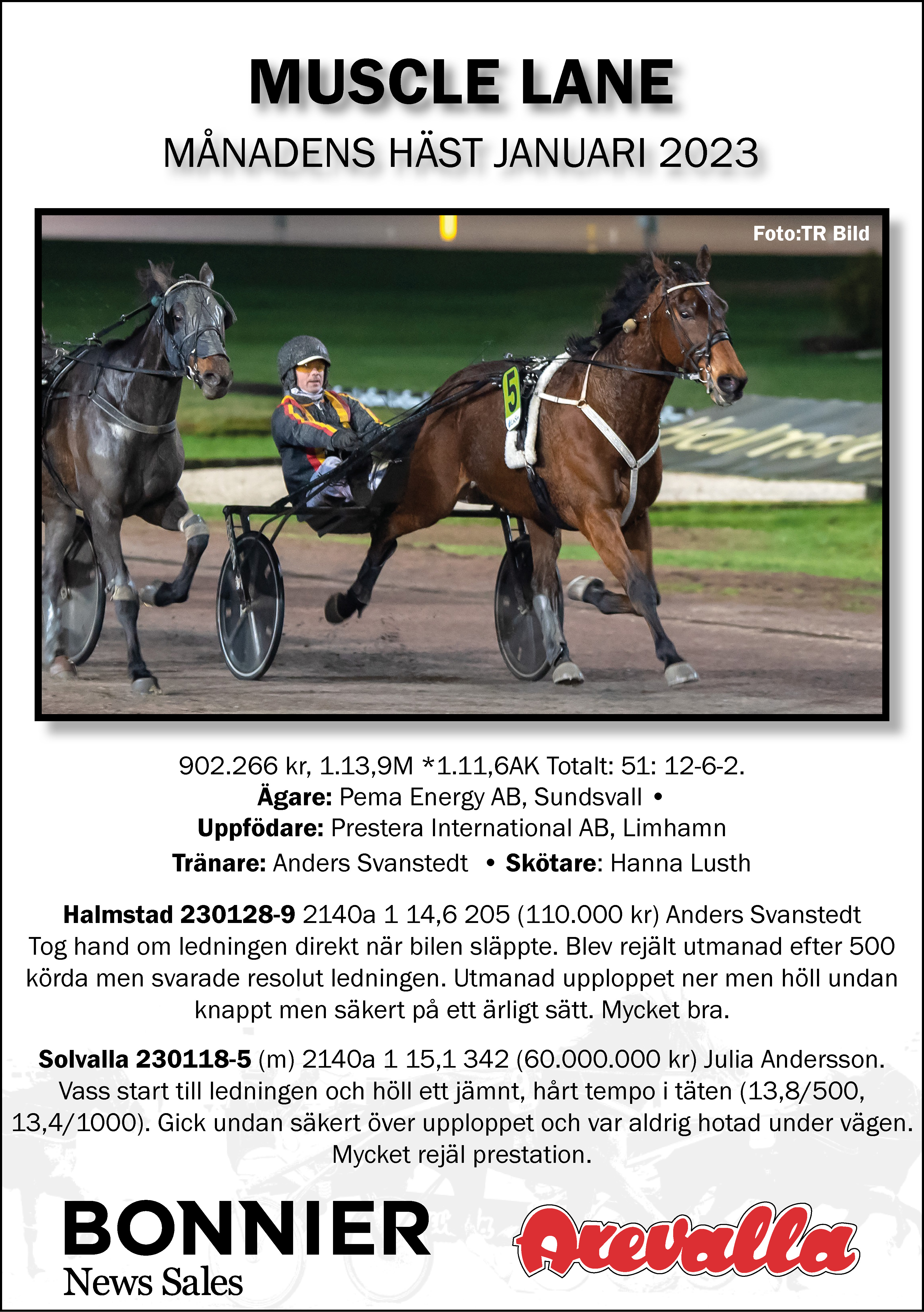 Månadens Häst januari 23.jpg